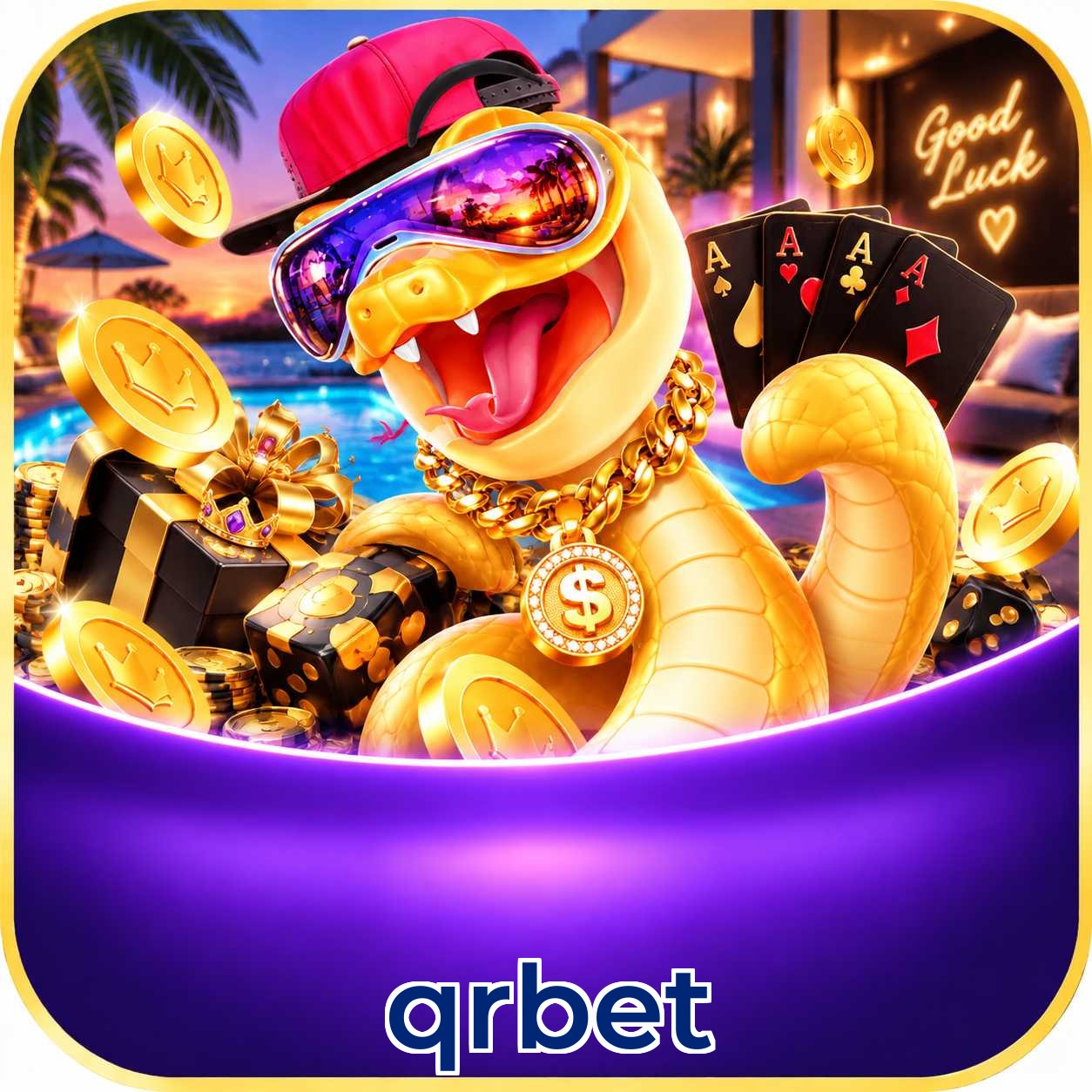 qrbet App vs Web